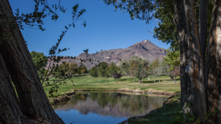 An image of "M" Mountain in the distance. Tree branches and a lake are in the foreground of the image.