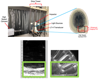 Dr. Tartis project image